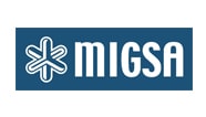 logo-mihgsa